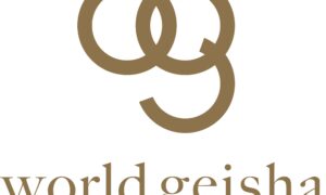 world geisha logo